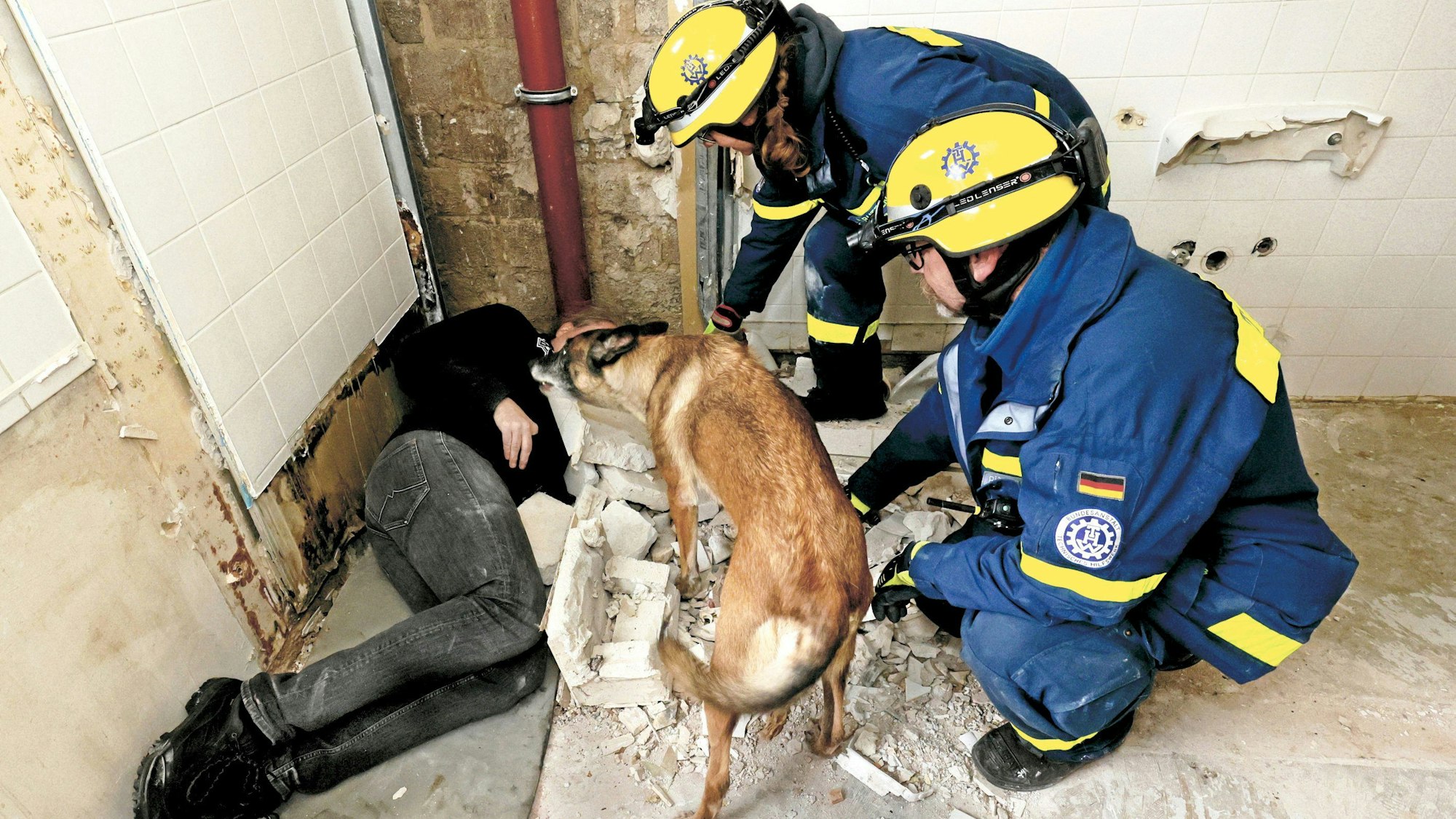 Ein Hund hat eine vermisste Person aufgespürt.
