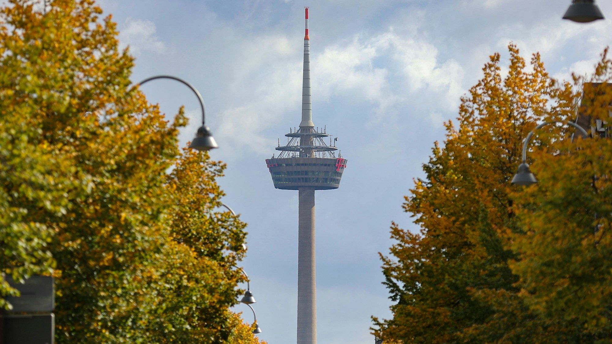 Das Bild zeigt den Blick auf den Fernsehturm "Colonius", im Vordergrund sind links und rechts Bäume zu sehen.