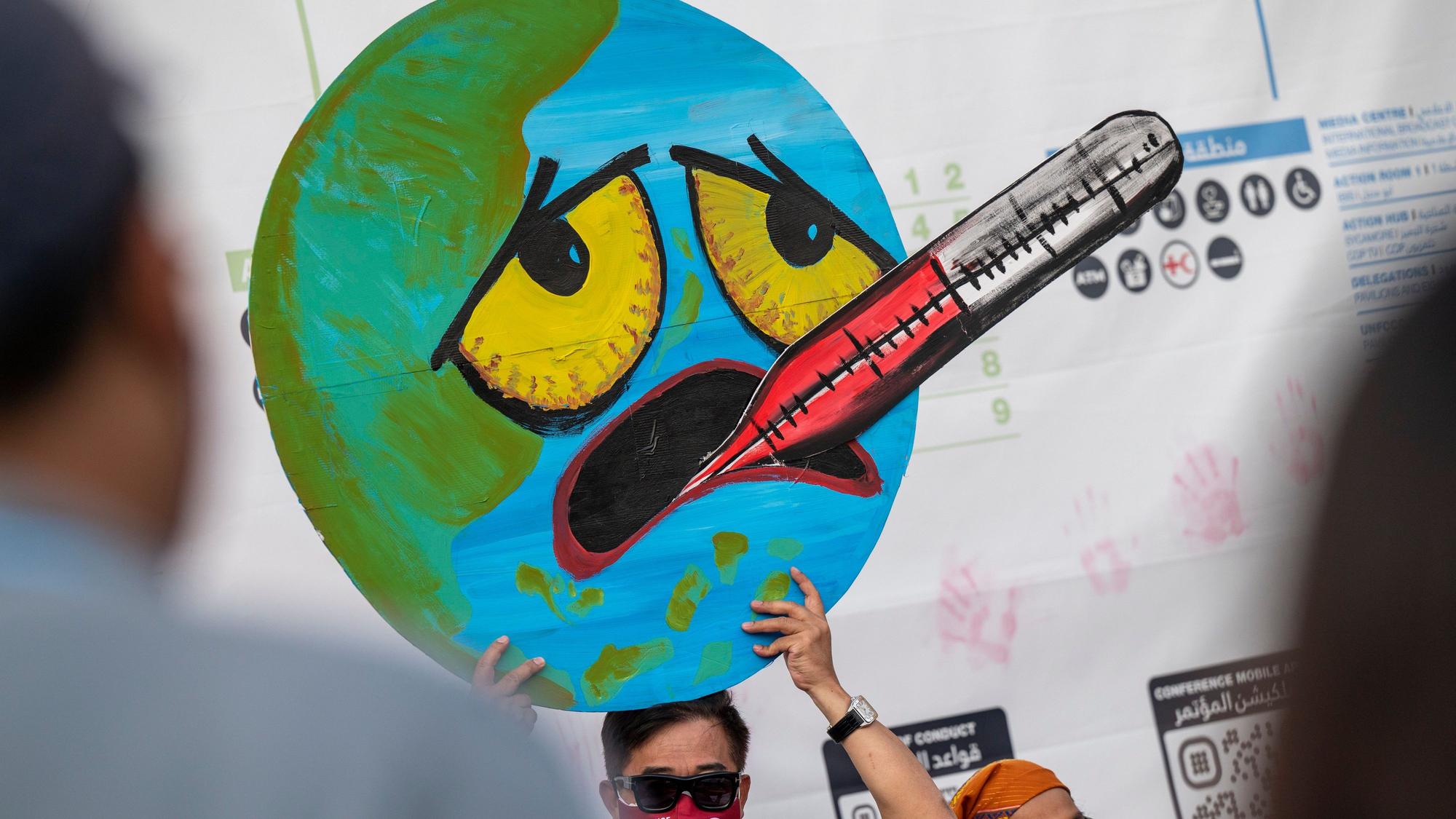 Bei einem Protest beim UN-Klimagipfel COP27 in Ägypten trägt ein Teilnehmer ein Plakat.
