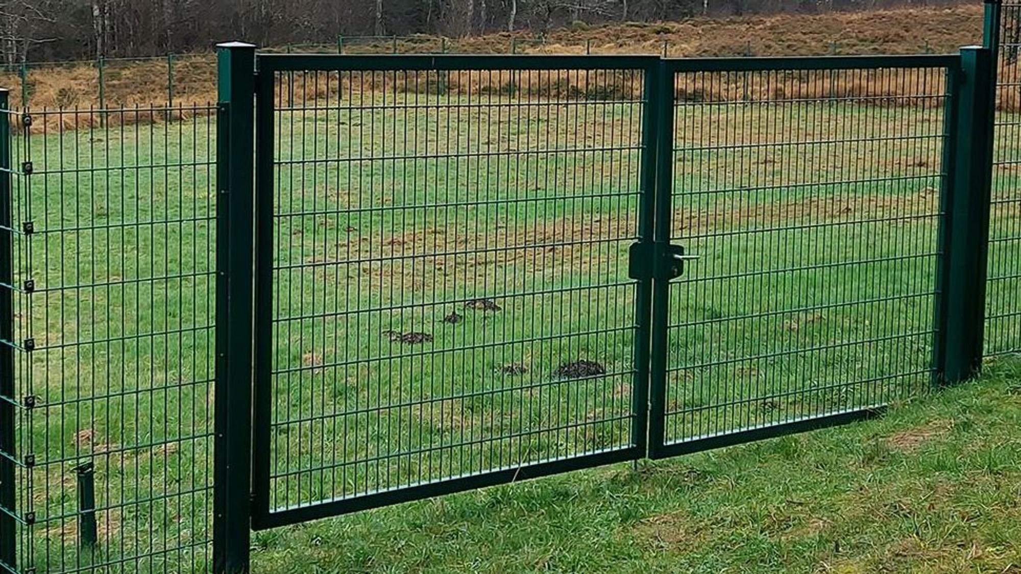 Mit einem Zaun ist die Trinkwasserquelle oberhalb von Dahlem vor ungebetenen Gästen geschützt.