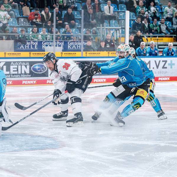 Andreas Thuresson von den Kölner Haien Bietigheims spielt zwei Verteidiger aus und schiebt den Puck an Bietigheims Torhüter Sami Aittokallio vorbei.
