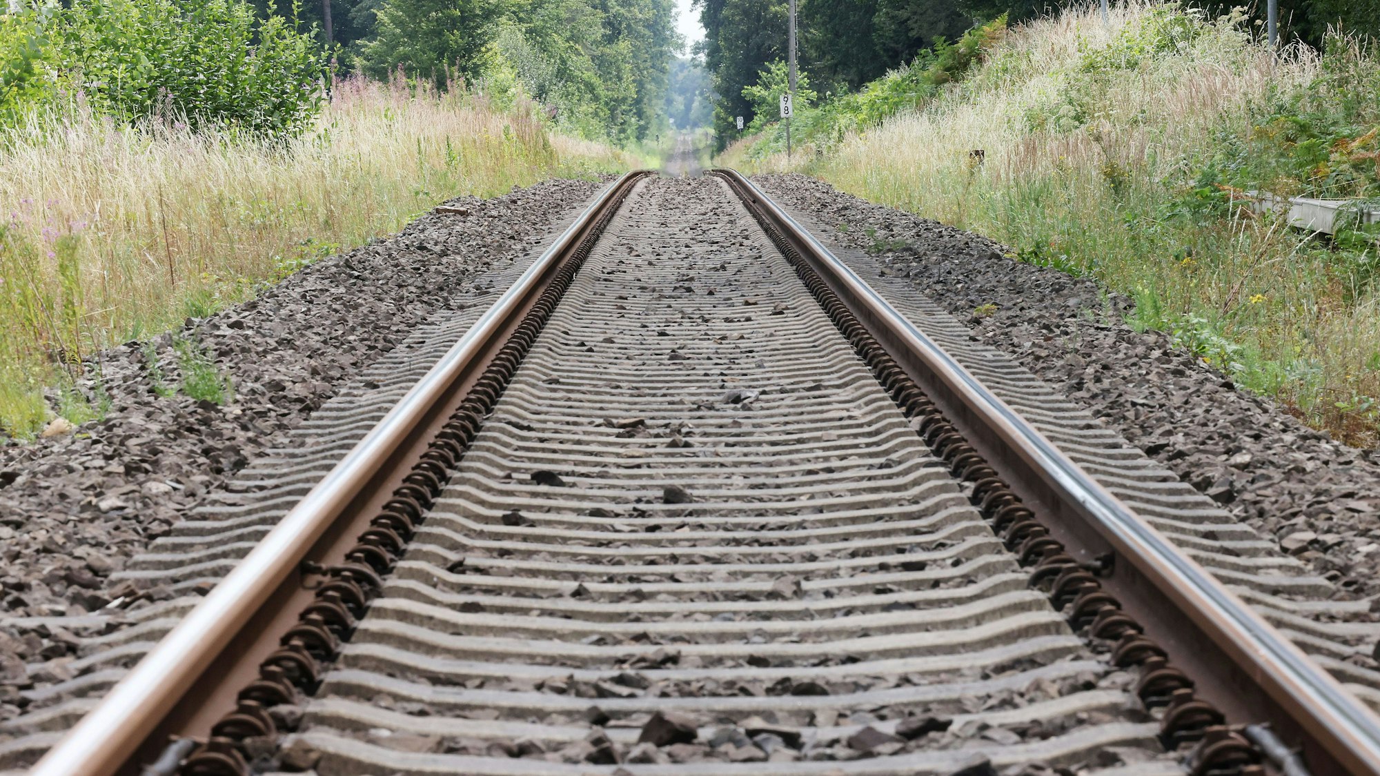 Eine Bahnstrecke führt durch den Wald.