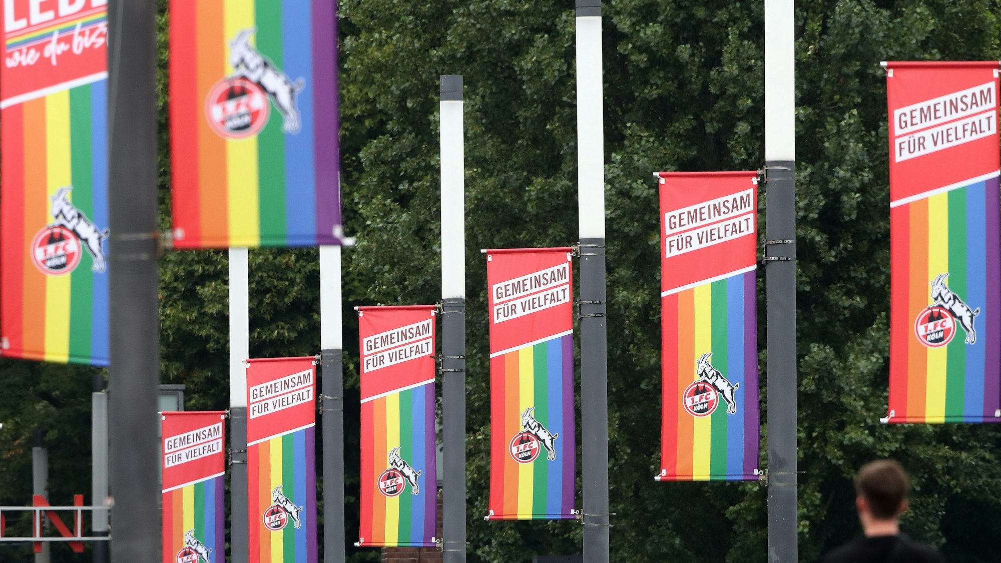 Regenbogen-Flaggen mit FC-Logo hängen an Mästen.