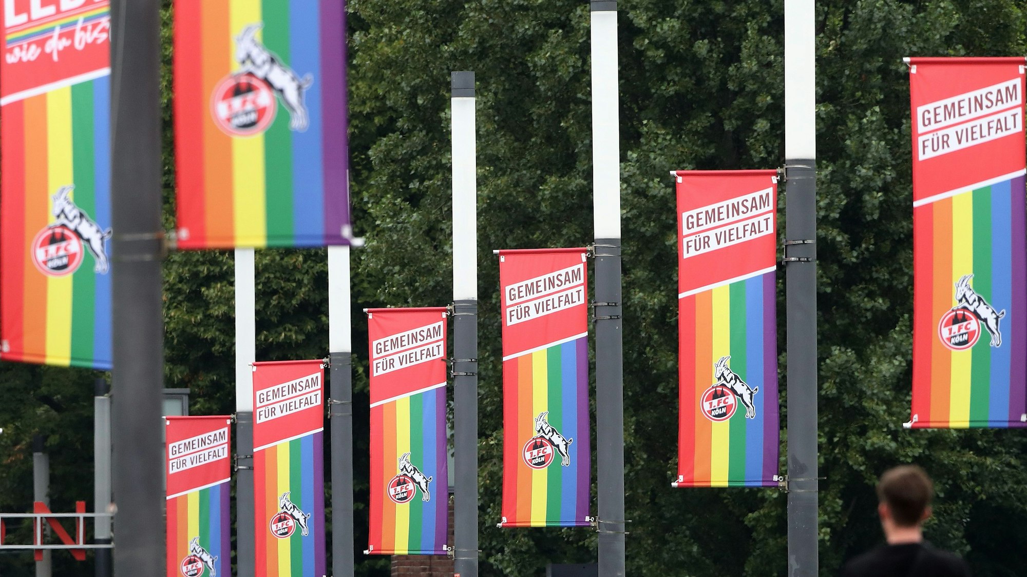 Beflaggung auf dem Oskar-Rehfeldt-Weg (Stadion Vorwiesen): Regenbogenfahne mit Geißbock drauf. Bild: Herbert Bucco