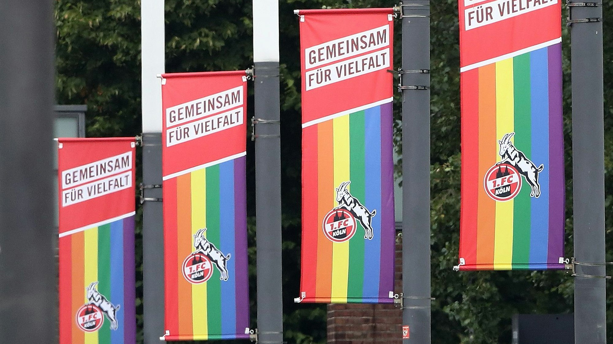 Beflaggung auf dem Oskar-Rehfeldt-Weg (Stadion Vorwiesen)