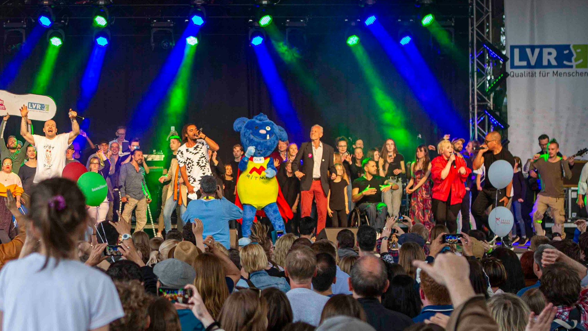 Wiesenfläche hinter dem LRV Landeshaus