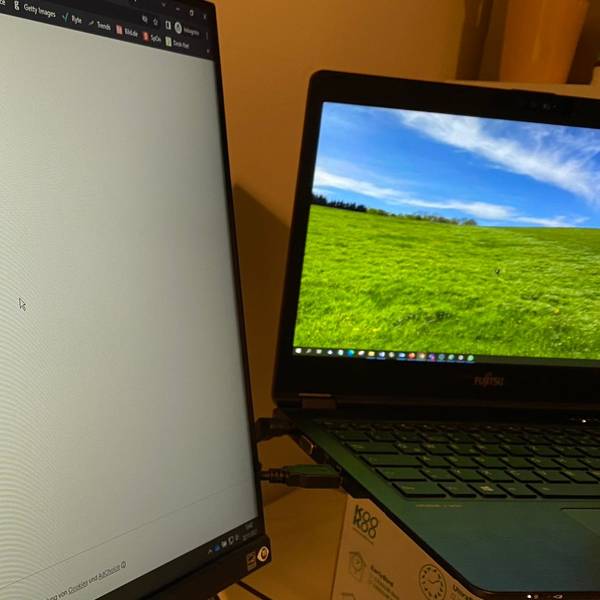 Eine Single Sign-on-Anmeldemaske auf einem Computer-Bildschirm