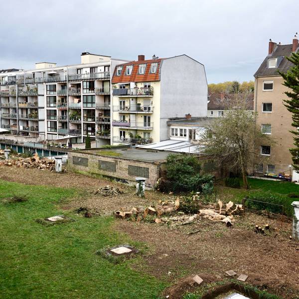 Grünfläche vor einer Häuserfassade, auf der mehrere Bäume gefällt wurden.