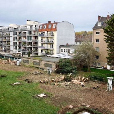 Grünfläche vor einer Häuserfassade, auf der mehrere Bäume gefällt wurden.