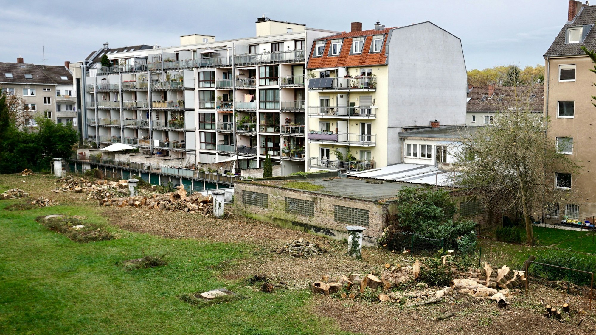 Grünfläche vor einer Häuserfassade, auf der mehrere Bäume gefällt wurden.