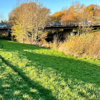 Der Trampelpfad durch die Wiese an der Wupper in Opladen, im Hintergrund die Wupperbrücke der Raoul-Wallenberg-Straße.
