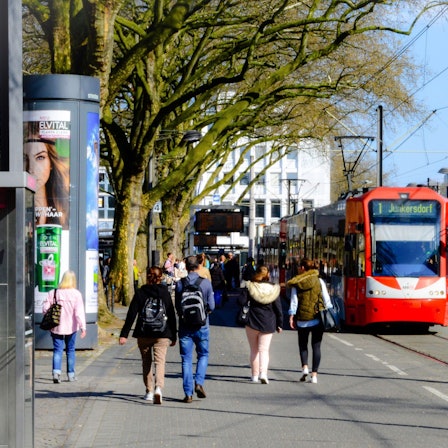 Das Bild zeigt eine Linie 1 der KVB am Neumarkt.
