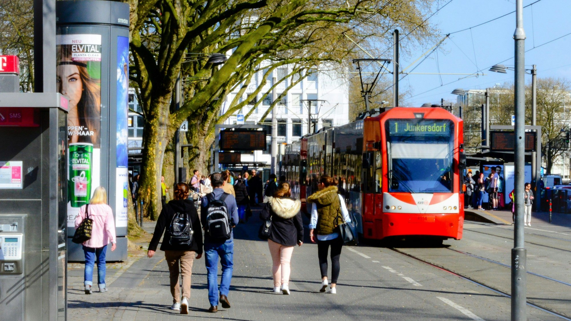Das Bild zeigt eine Linie 1 der KVB am Neumarkt.