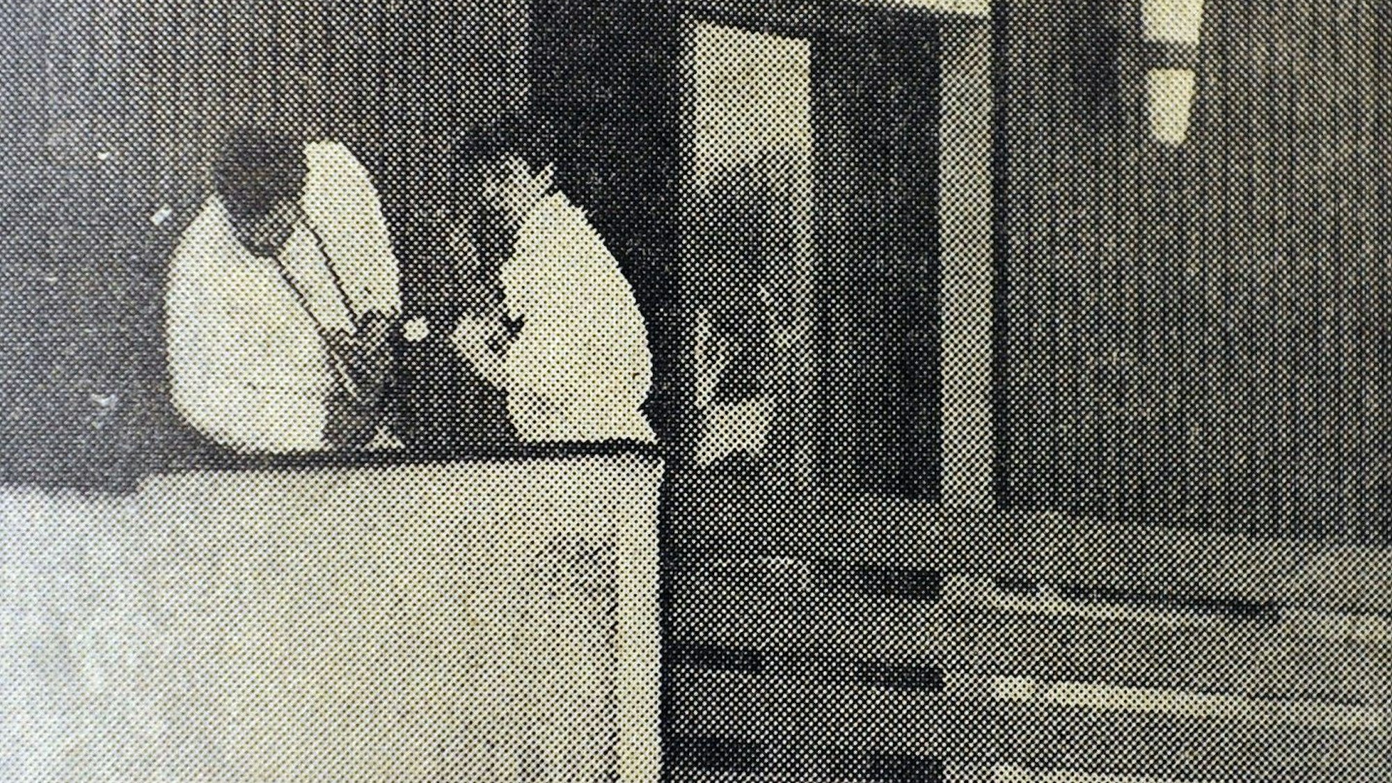 Zwei Beamte in weißen Anzügen suchen auf einer Veranda Spuren