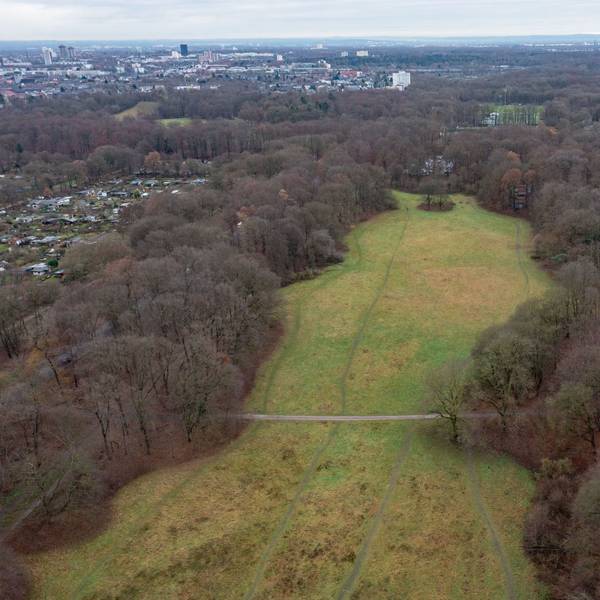 Luftaufnahme von der Gleueler Wiese, eingerahmt von Baumbestand.