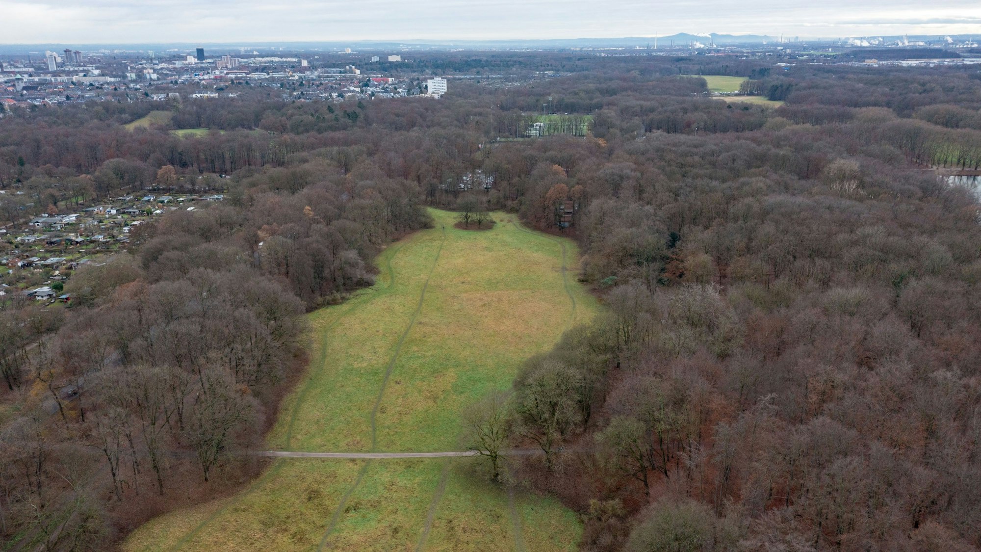 Luftaufnahme von der Gleueler Wiese, eingerahmt von Baumbestand.