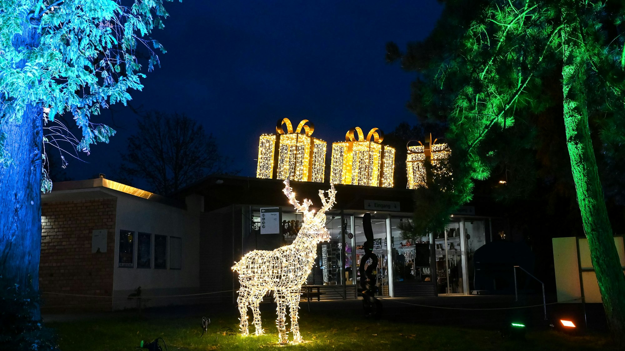 Weihnachtliche Beleuchtung und Dekoration im Zoo in der Adventszeit. Foto: Uwe Weiser