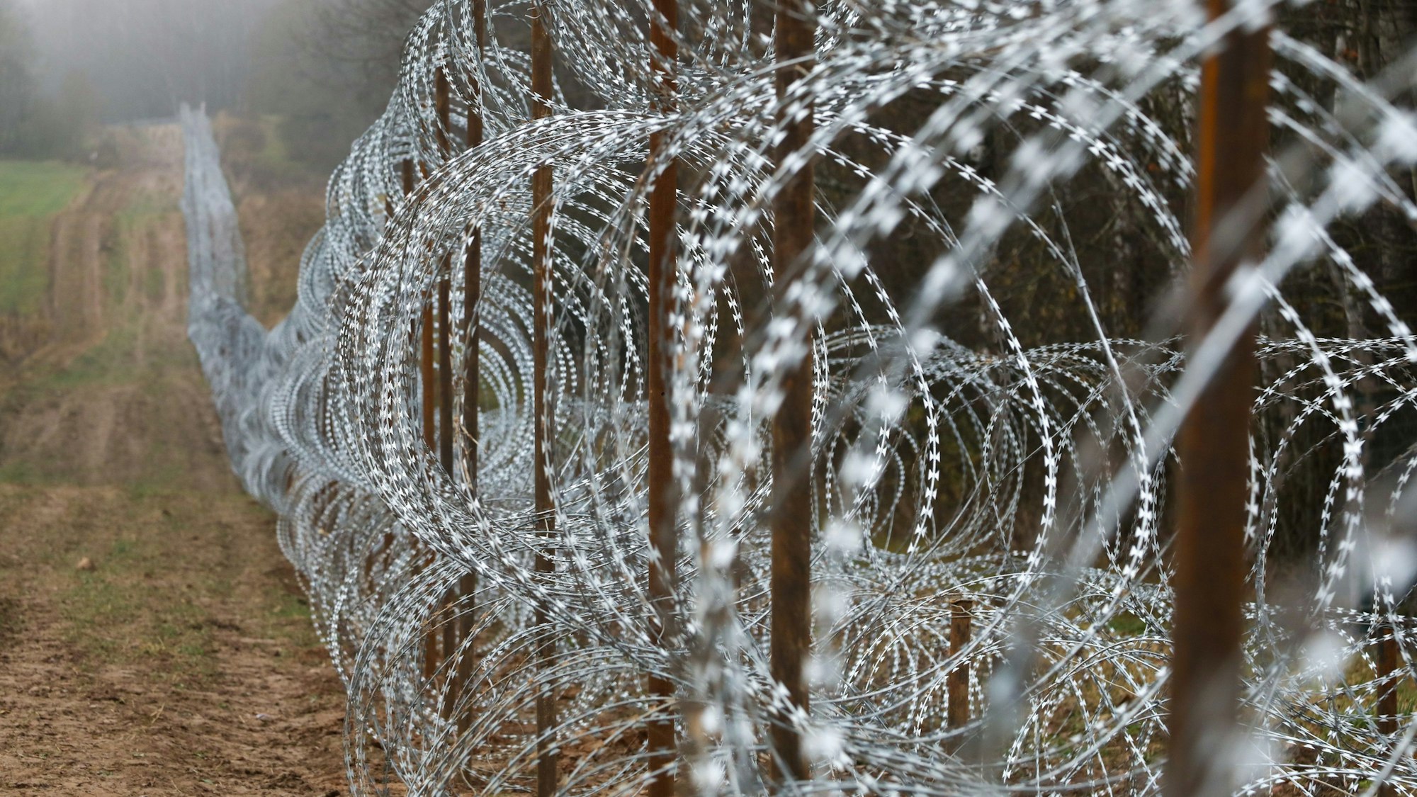 Ein Zaun mit Stacheldraht entlang der polnischen Grenze zur russischen Exklave Kaliningrad. (Symbolbild)