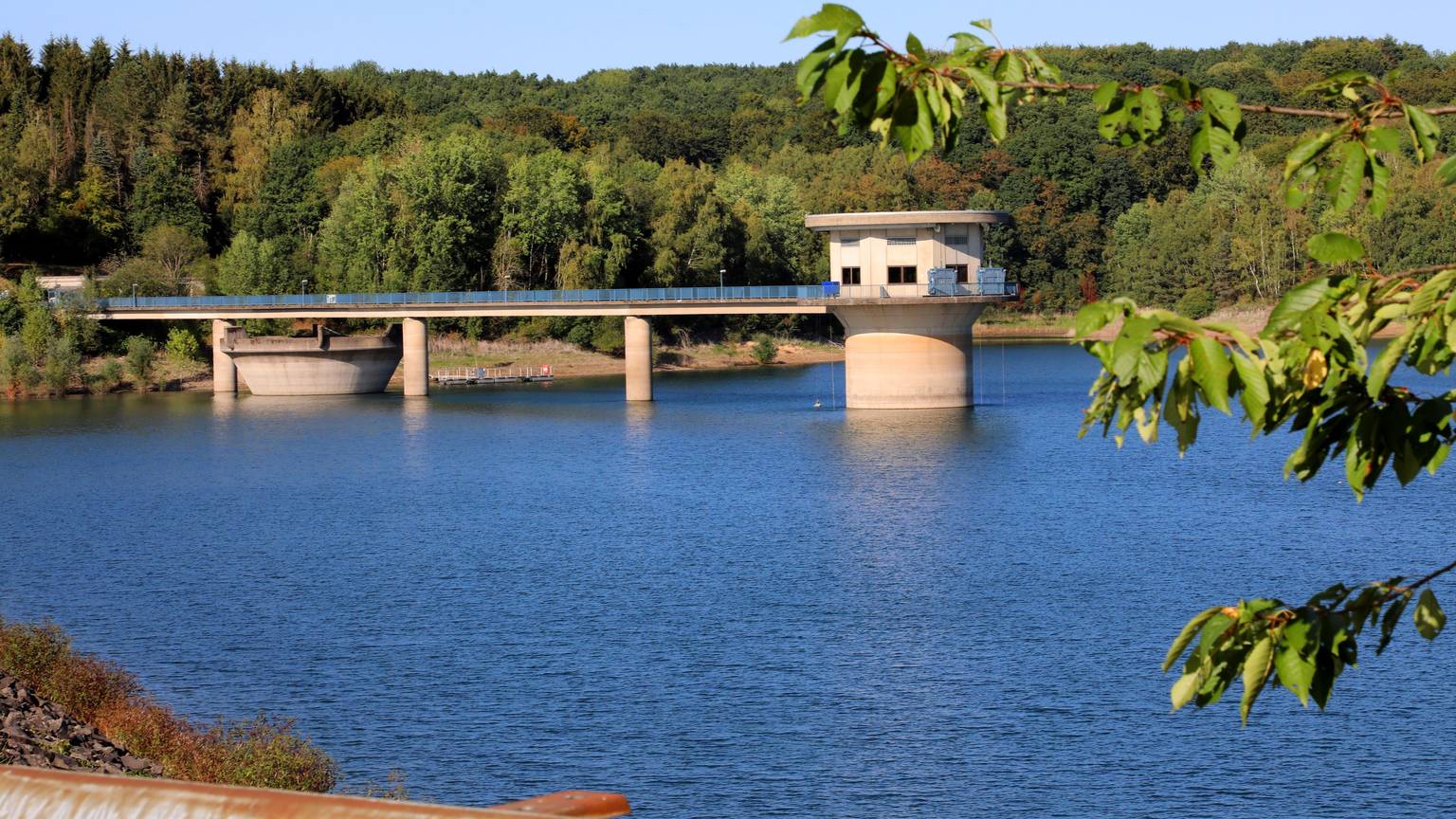 Ein Blick auf die Dhünntalsperre mit der Dhünn im Vordergrund und dem Wald im Hintergrund.