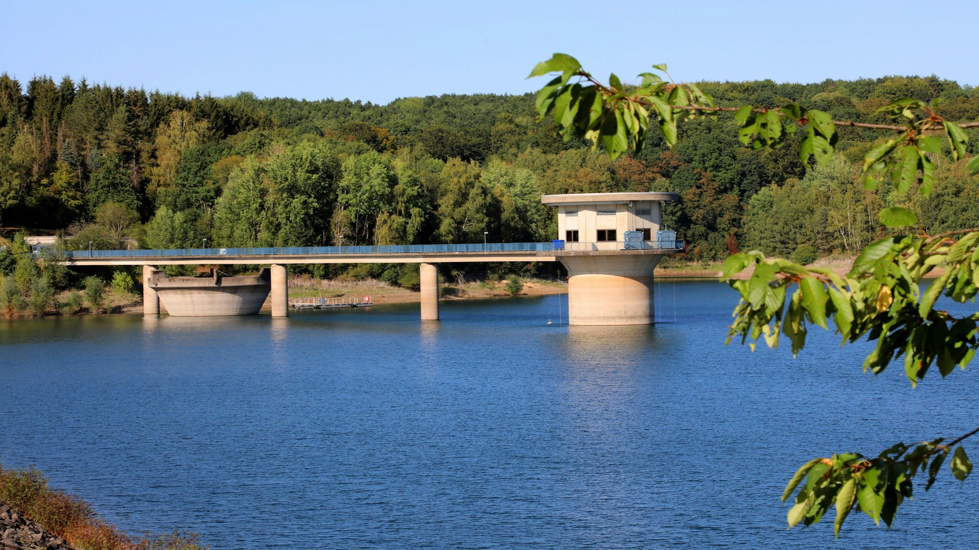 Ein Blick auf die Dhünntalsperre mit der Dhünn im Vordergrund und dem Wald im Hintergrund.