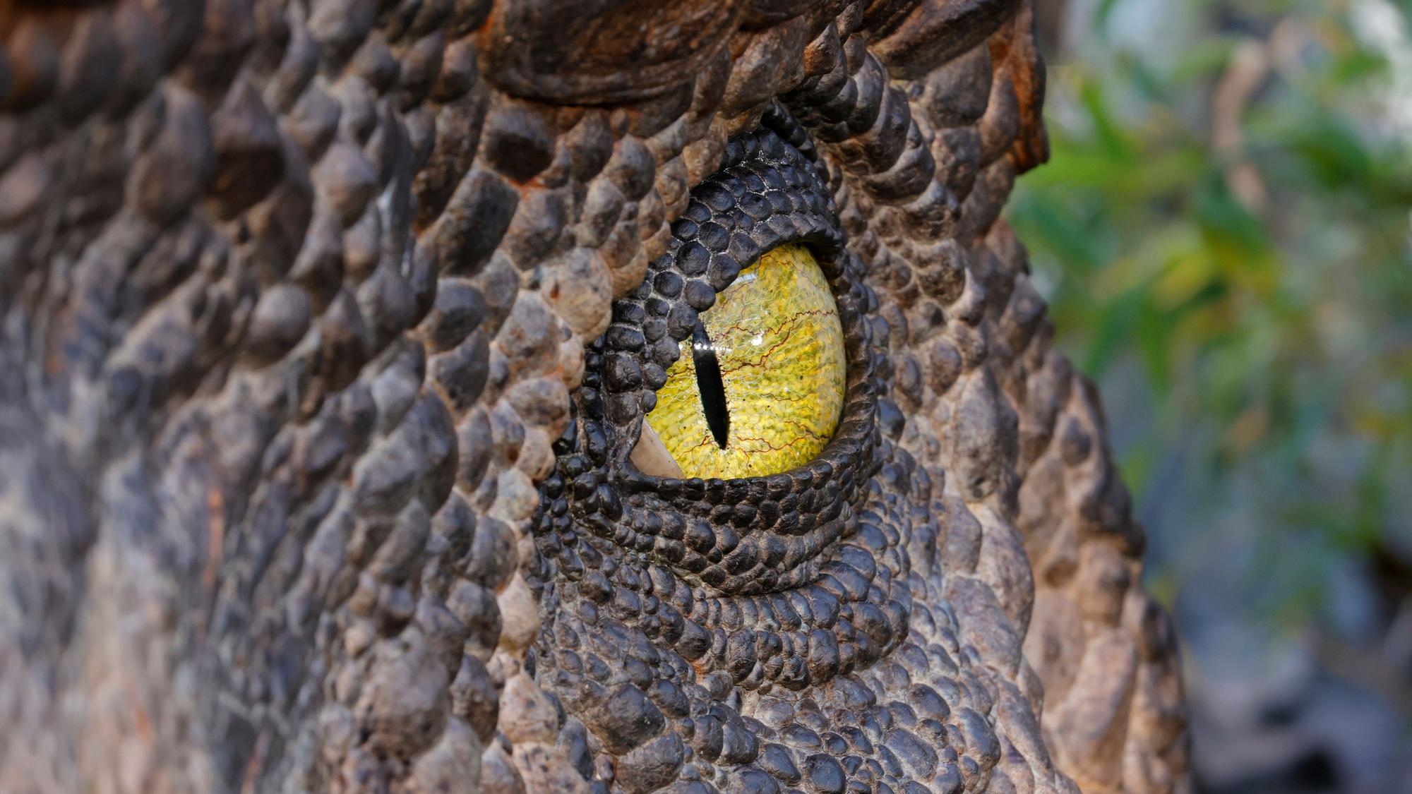 Nahaufnahme eines Dinosaurier-Auges. Drumherum sind die Schuppen des Reptils zu sehen.