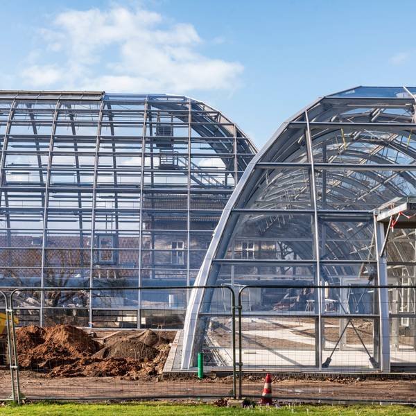 Neubau der Schaugewächshäuser und der Orangerie im Botanischen Garten. Zwei Schaugewächshäuser ohne Pflanzen darin, vorne ein Bauzaun mit einem Bagger.