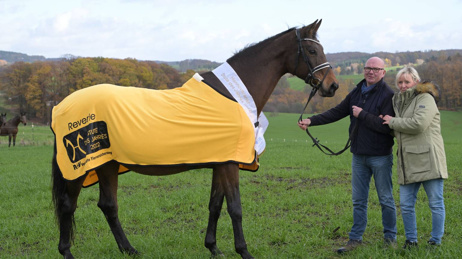 Die Stute des Jahres 2022, das Pferd Reverie, trägt ein gelbes Siegergewand und steht auf einer Weide. Seine Besitzer, Angela und Uwe Butkus aus Overath, halten die Zügel in der Hand.