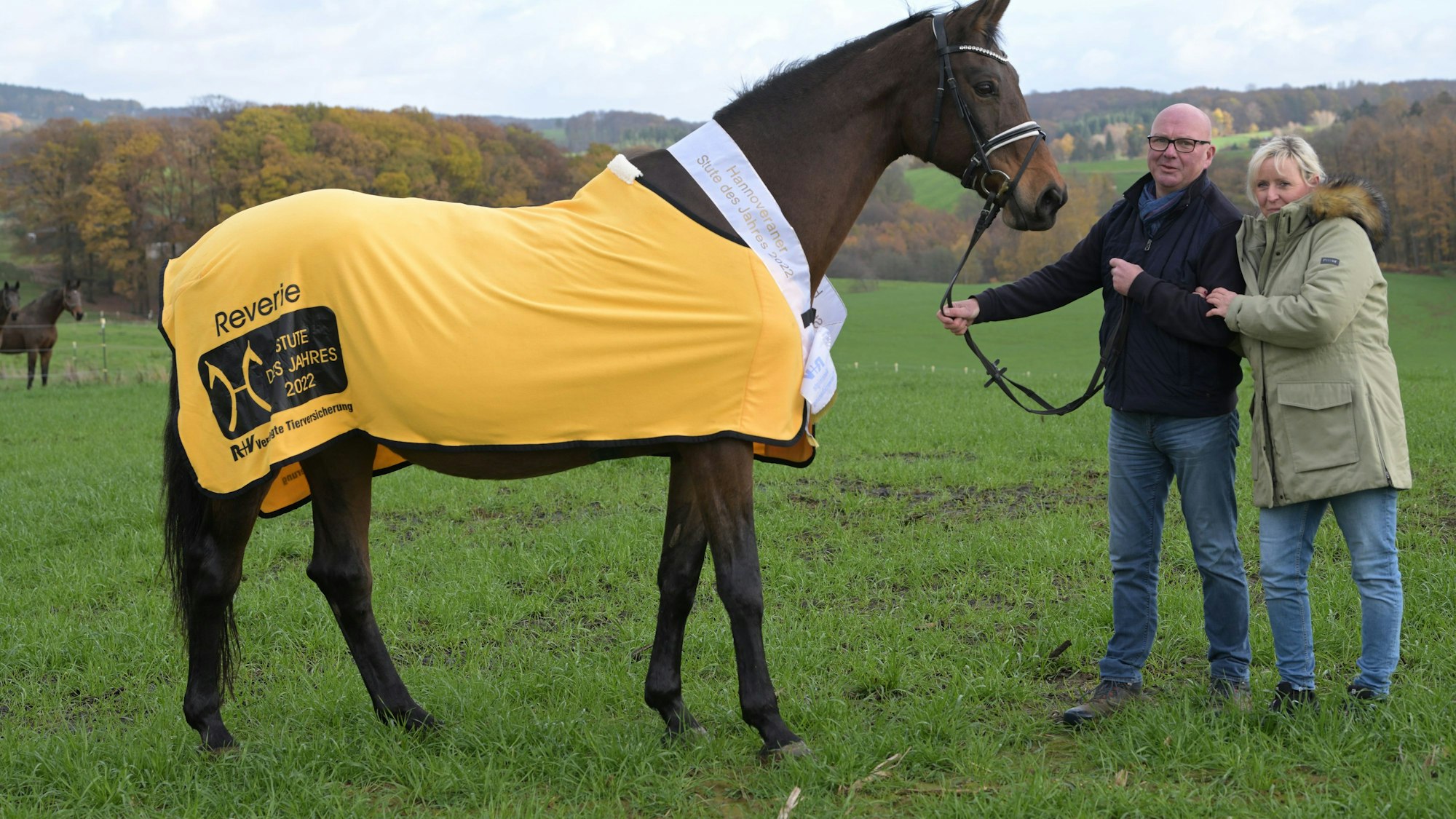 Die Stute des Jahres 2022, das Pferd Reverie, trägt ein gelbes Siegergewand und steht auf einer Weide. Seine Besitzer, Angela und Uwe Butkus aus Overath, halten die Zügel in der Hand.