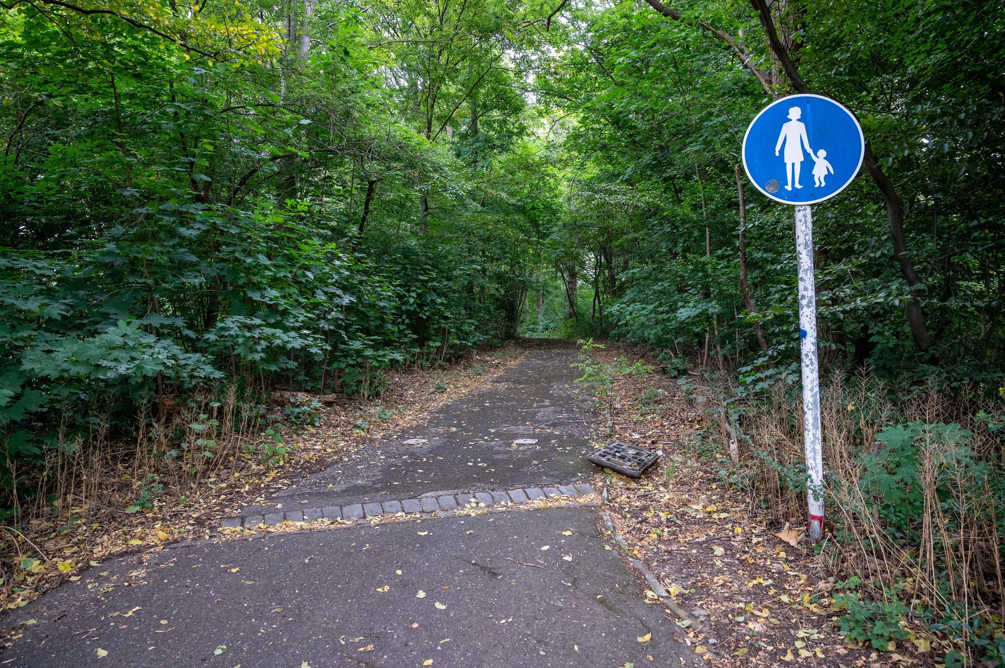 Ein mit Laub bedeckter Fußweg in Köln-Vingst