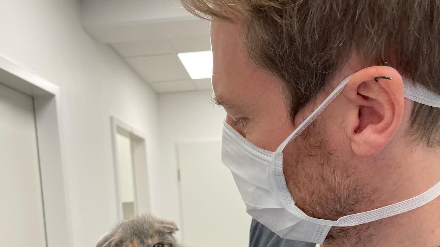 Einer der Tierpfleger hält ein kleines Kätzchen in der Hand.