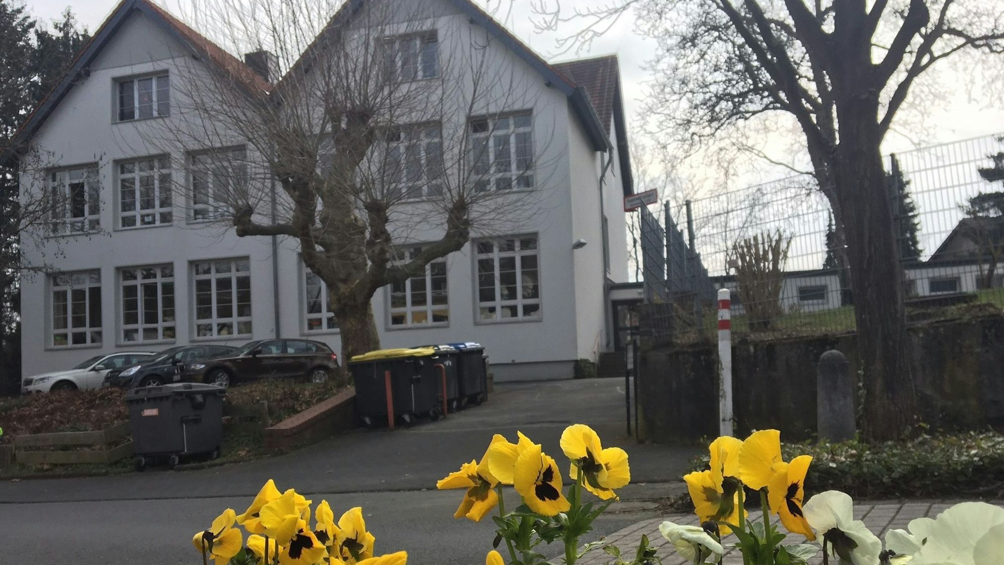 Die Außenfassade der Grundschule mit gelben Blumen im Vordergrund.