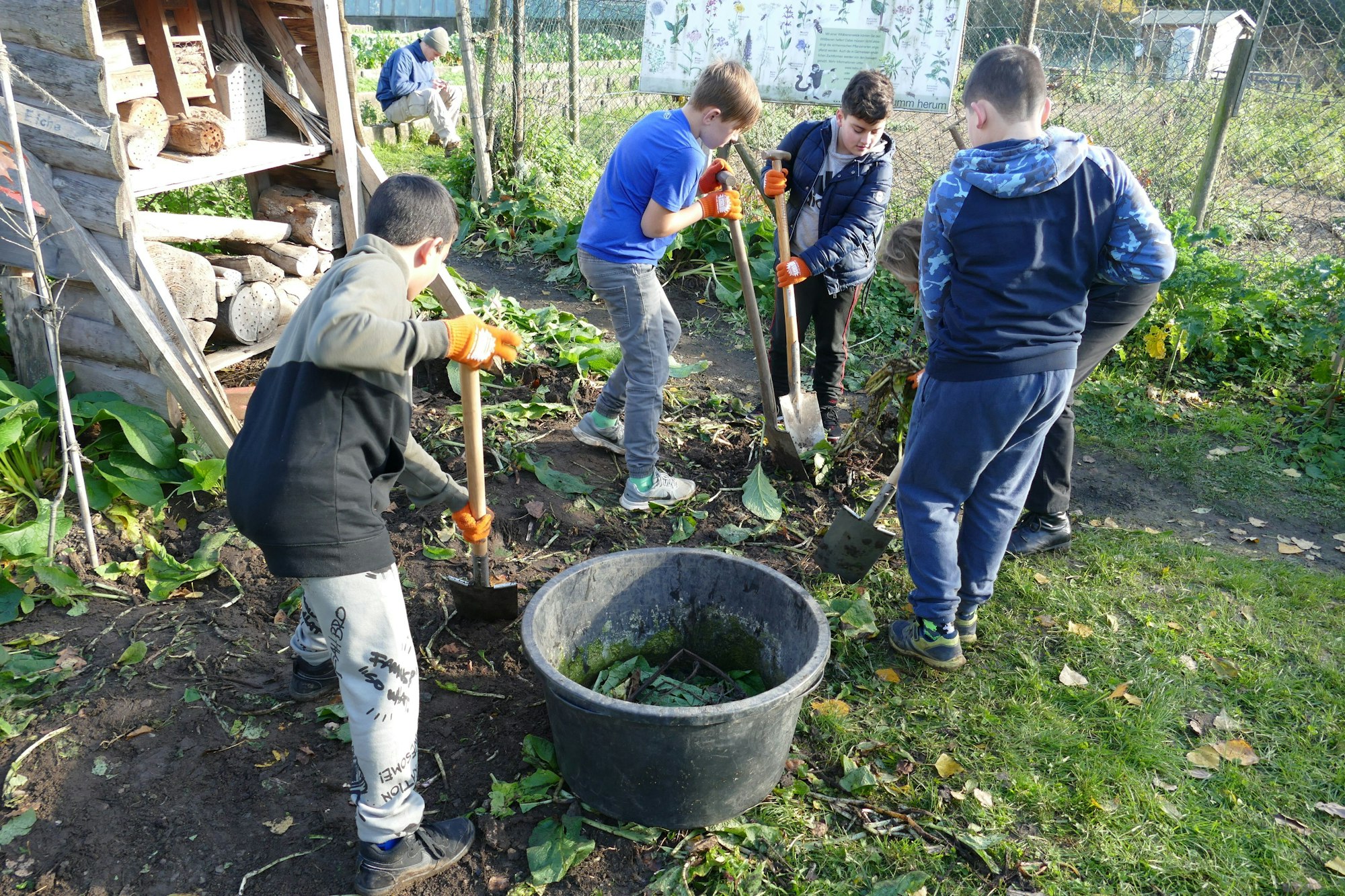 Kinder graben ein Beet um.
