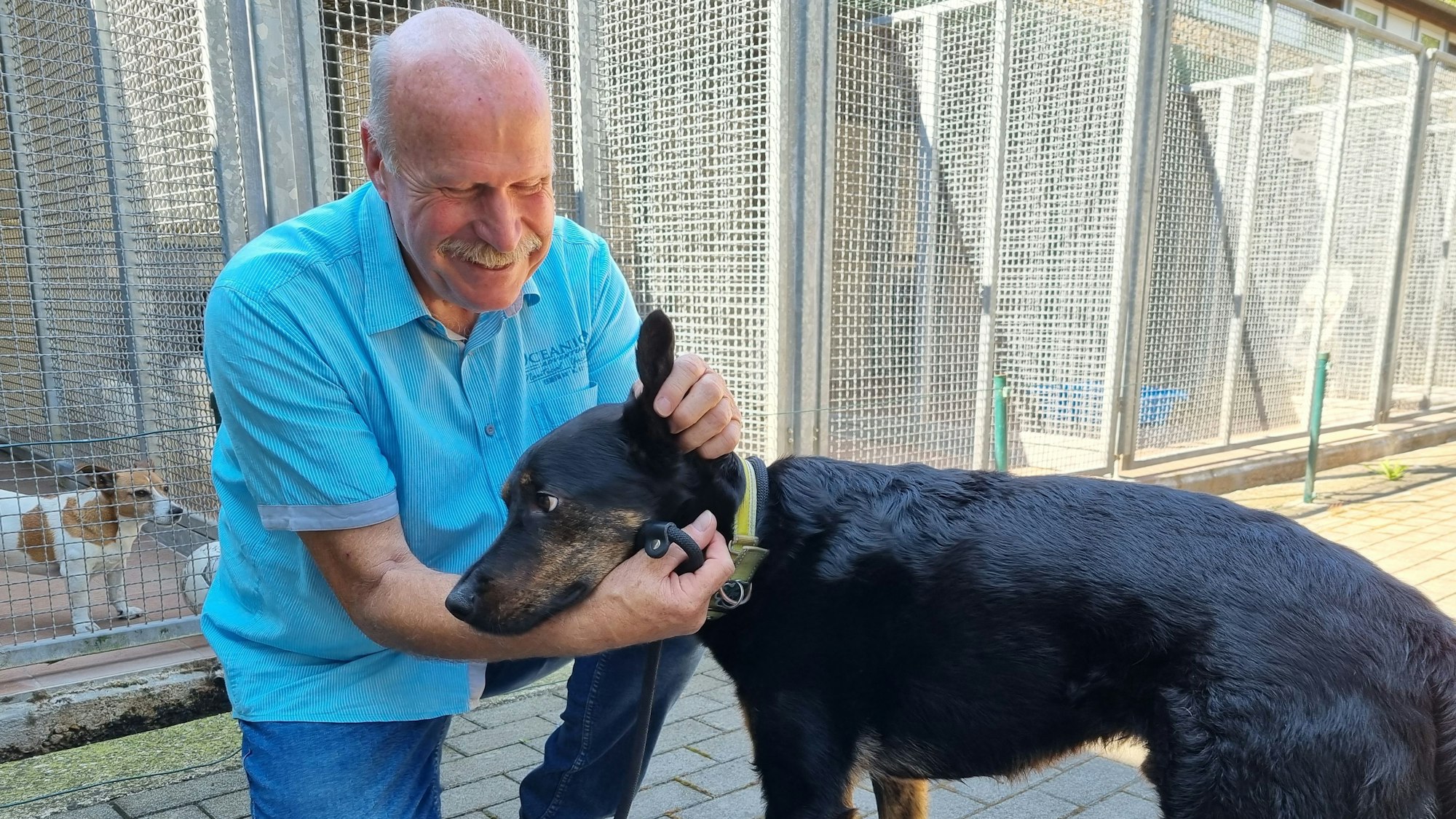 Hundesteuer Leverkusen: Für wenige Rassen wird es teurer | Kölner Stadt ...