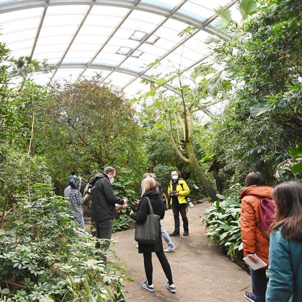Das Regenwaldhaus im Kölner Zoo