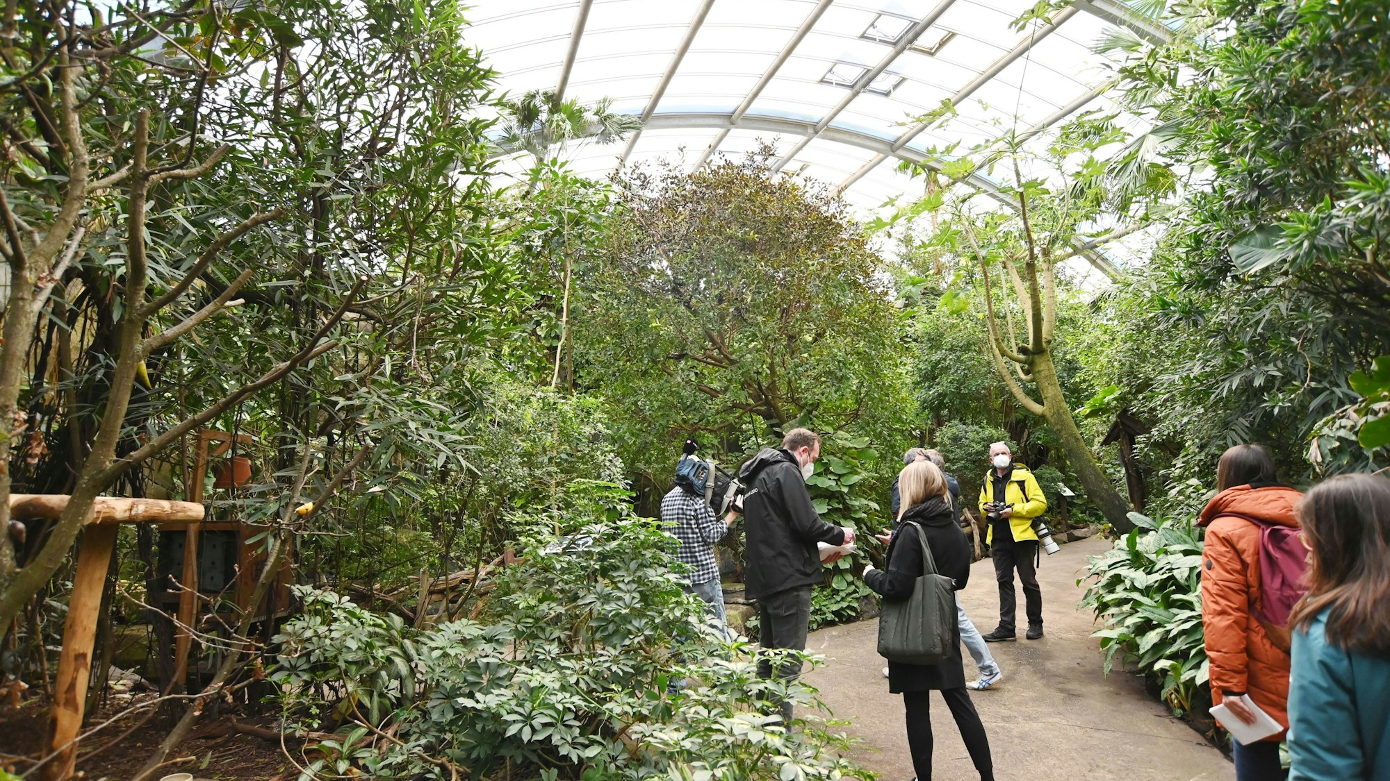 Das Regenwaldhaus im Kölner Zoo