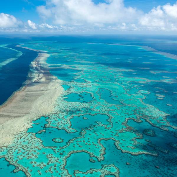 Die Luftaufnahme zeigt die weite Küste Australiens und das Great Barrier Reef, das größte Korallenriff der Welt, viele Korallen sind als Folge des Klimawandels verblichen.