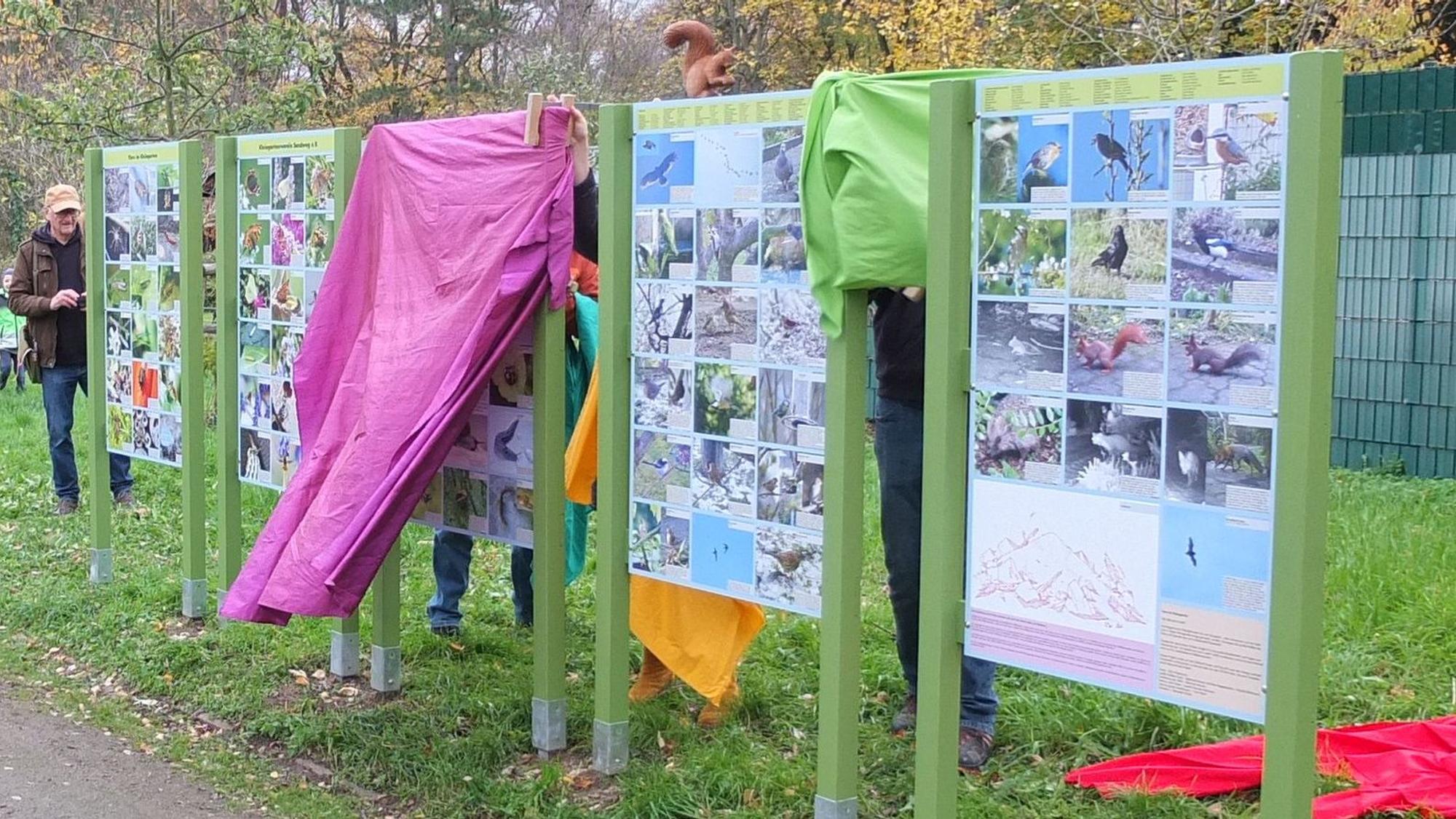 Fünf Tafeln mit mehr als 90 Tiermotiven