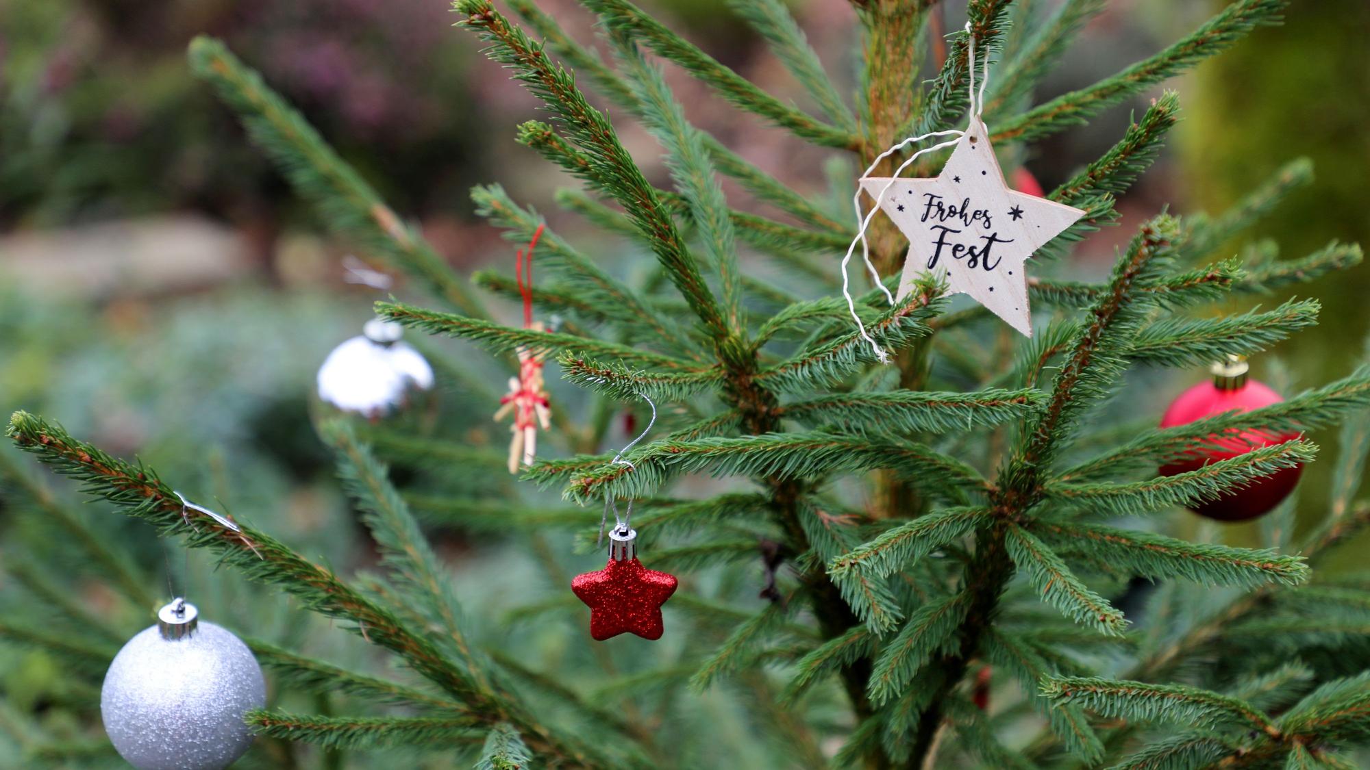 Geschmückter Tannenbaum am Wegesrand