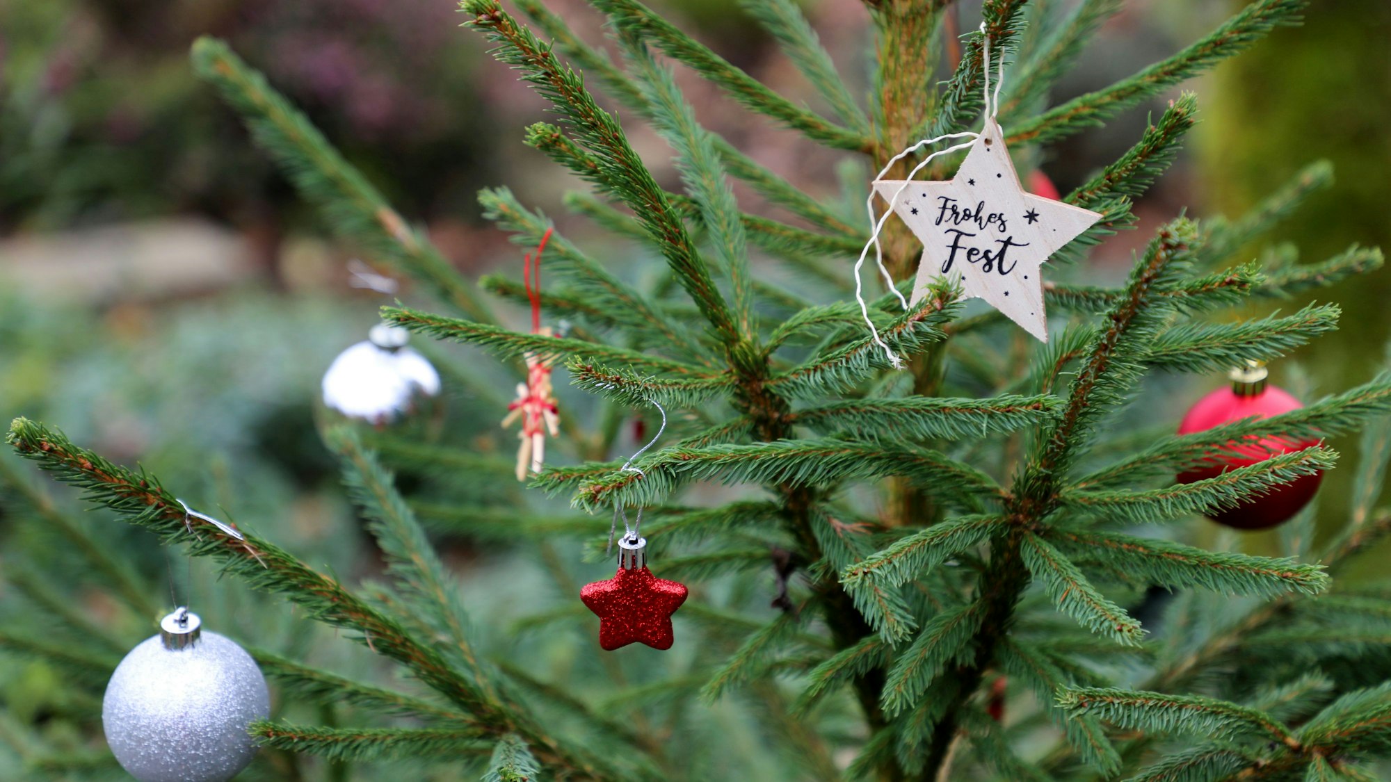 Geschmückter Tannenbaum am Wegesrand