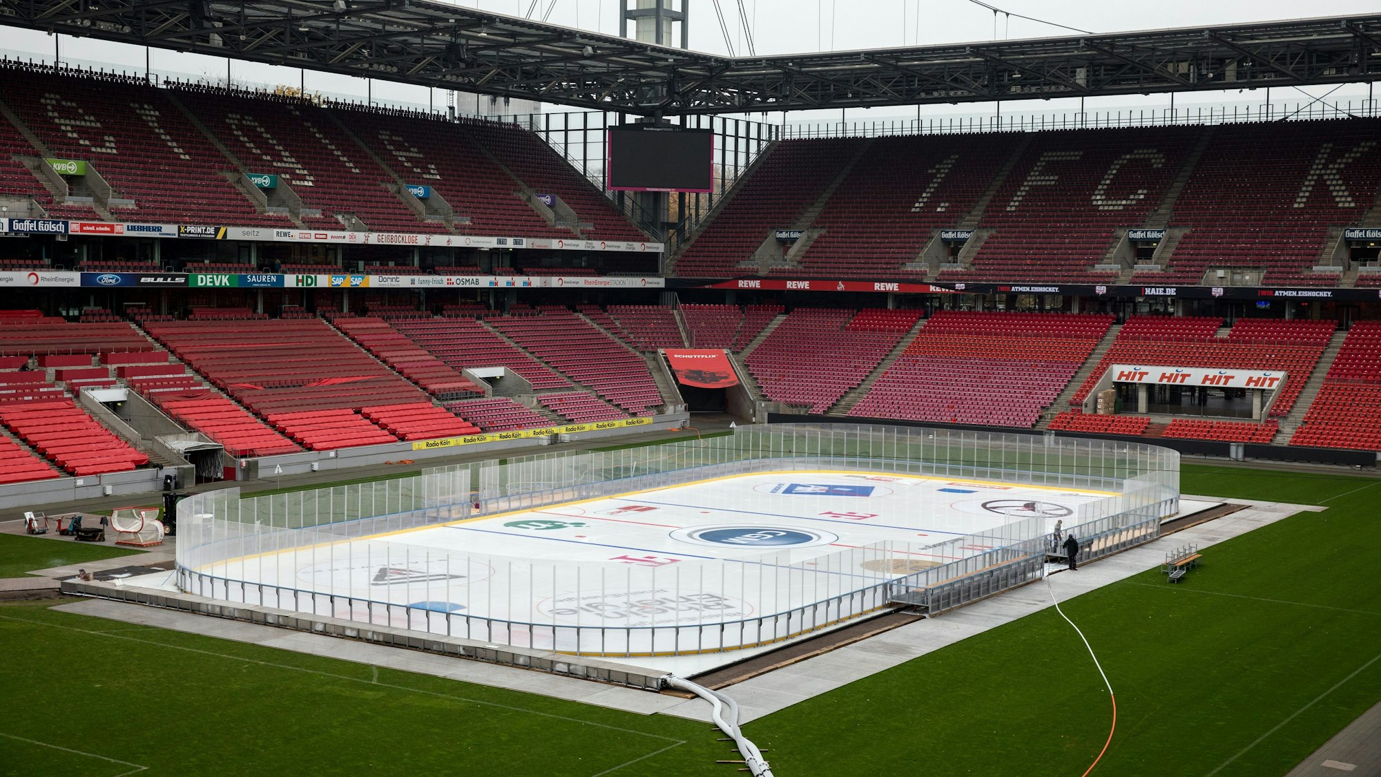 Die Eisfläche im Rheinenergiestadion für die DEL Winter Games. Zwischen den roten Rängen des Stadions und der weißen Eisfläche liegt die ca. 15 Meter breite grüne Rasenfläche des Spielfeldes.
