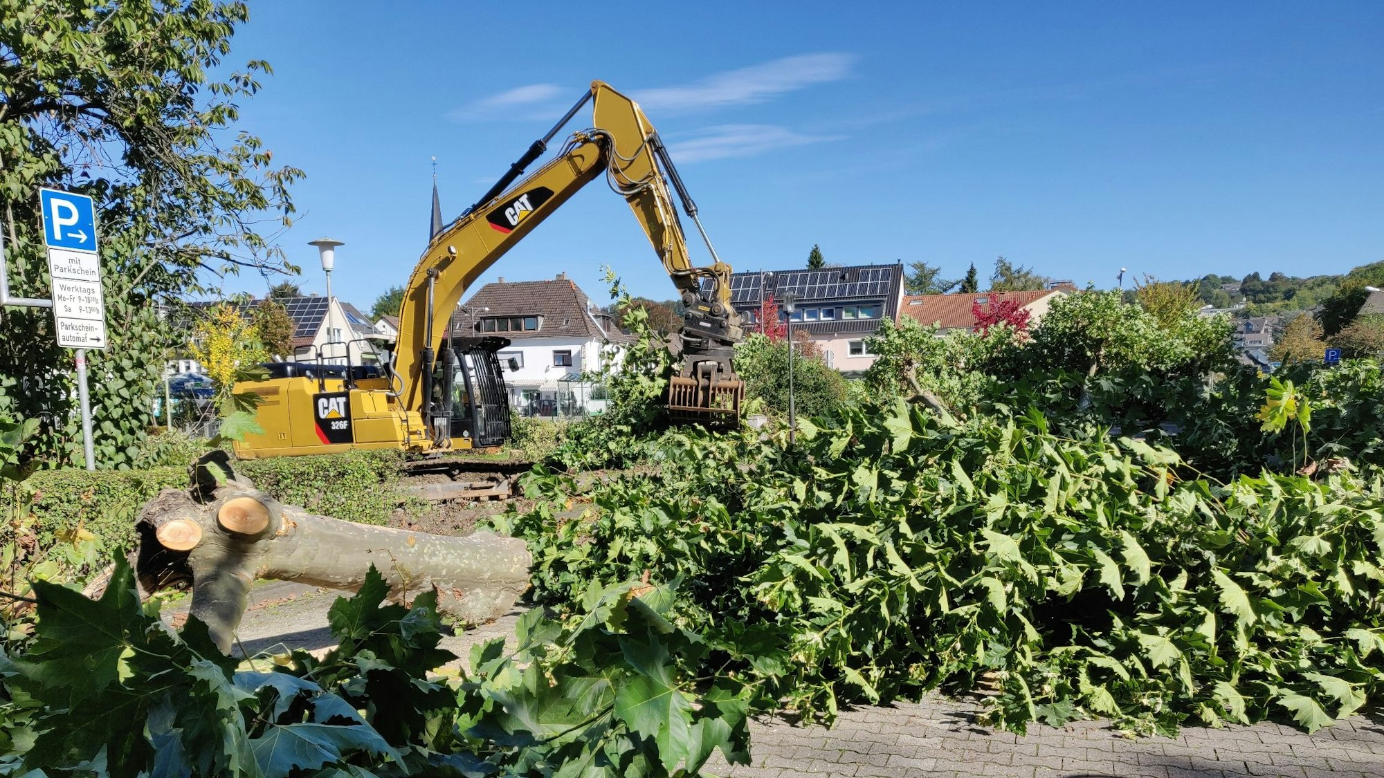 Gefällte Platanen liegen am früheren Taxistand am Stadtpark auf dem Boden.