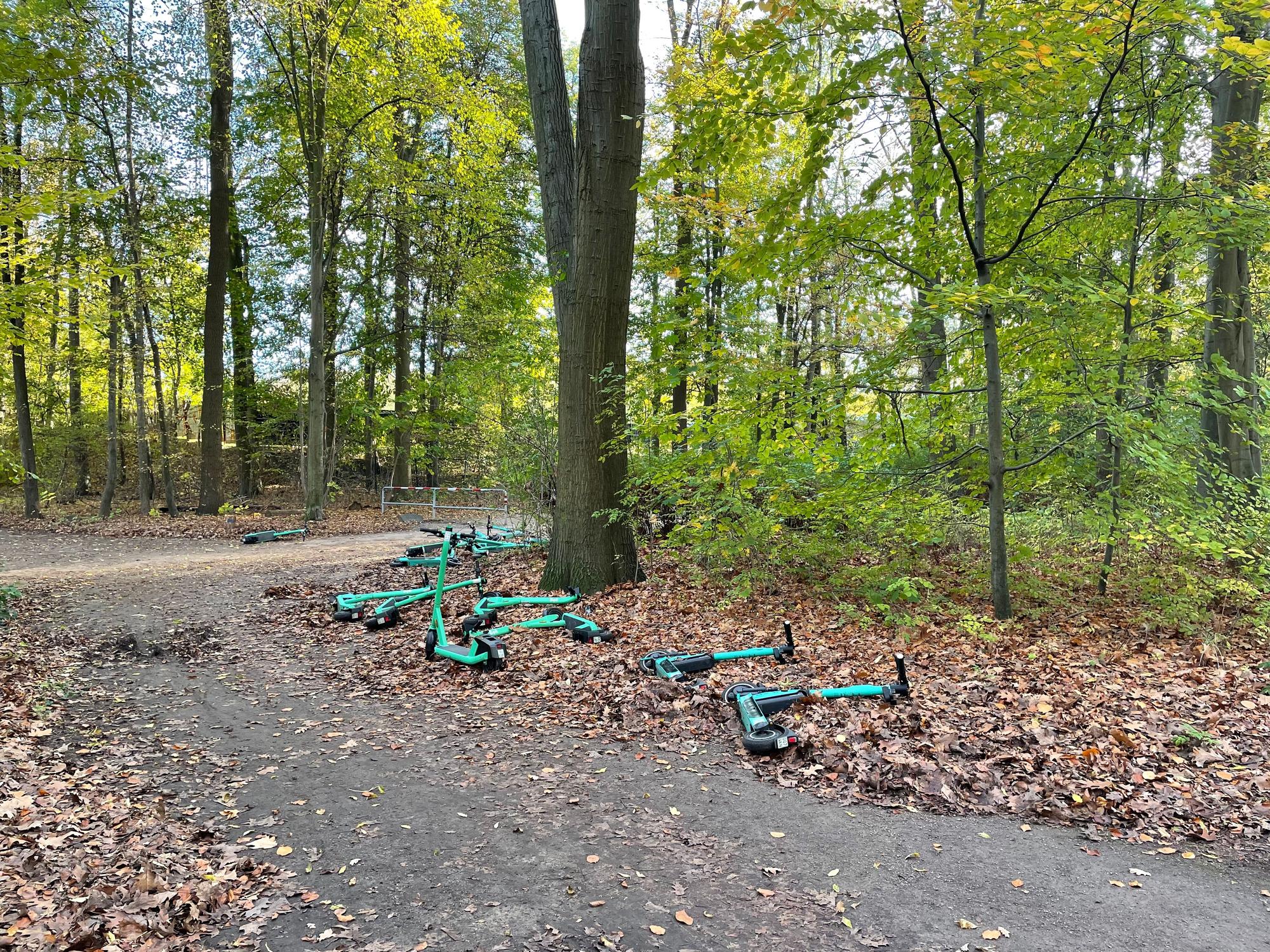 E-Roller liegen am Rande eines Waldweges.