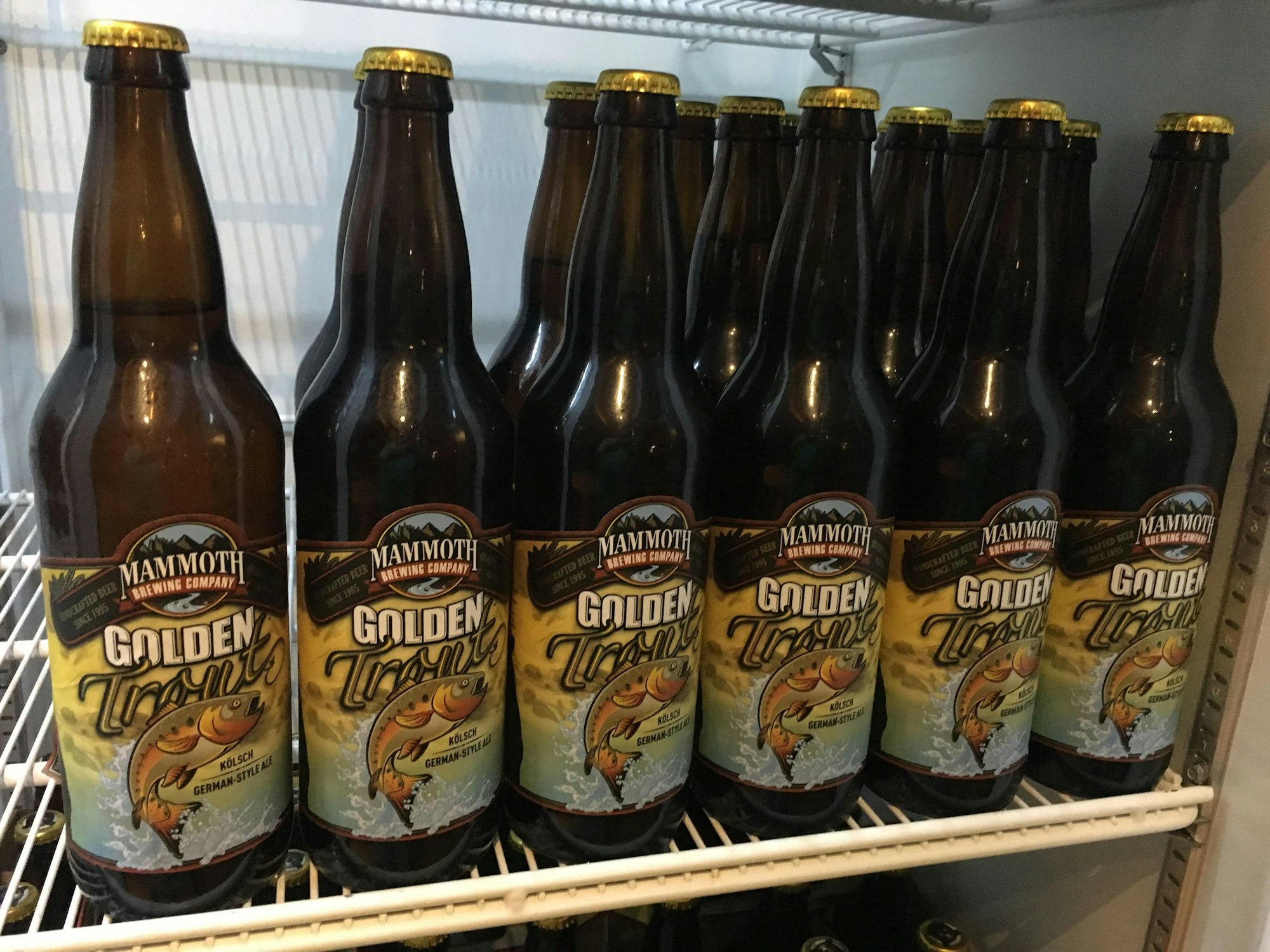 Flaschen mit Kölsch aus den USA stehen im Kühlschrank.