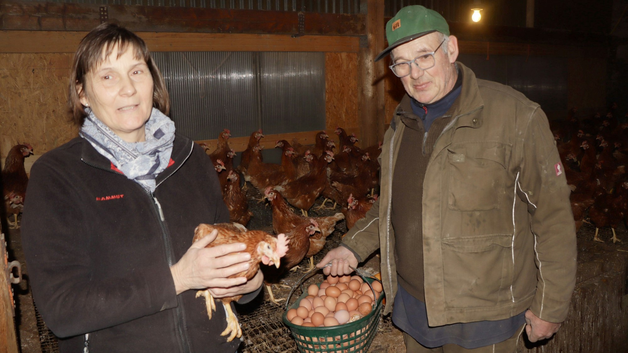 Anke und Wilhelm Stricker bei ihrer Eierlese im Hühnerstall.