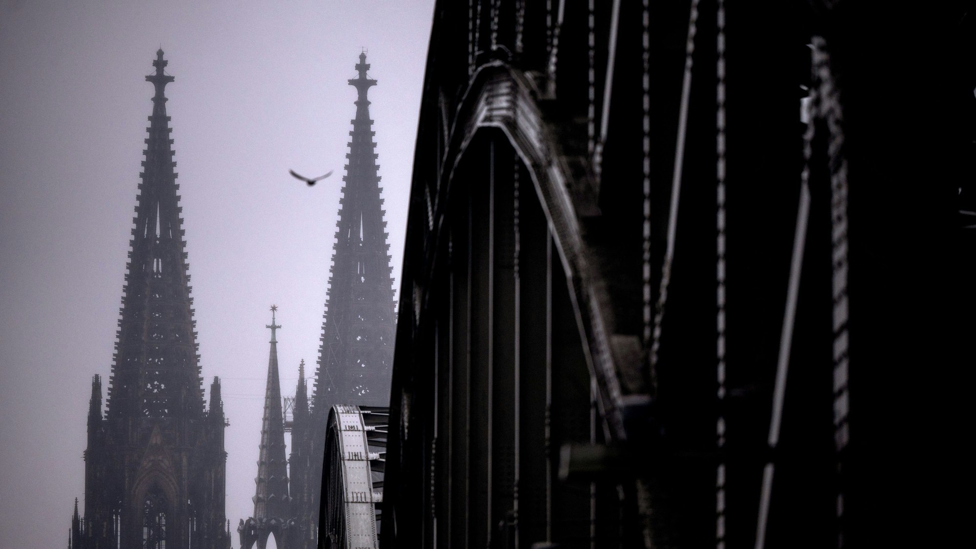 Im Dunst und im Nieselregen steht der Dom am Rheinufer. In Deutschland sind 2022 so viele Menschen aus der Kirche ausgetreten wie noch nie. (Symbolbild)
