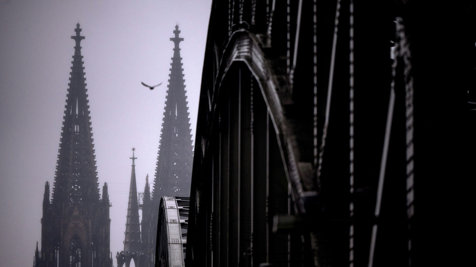 Im Dunst und im Nieselregen steht der Dom am Rheinufer. In Nordrhein-Westfalen sind im vergangenen Jahr so viele Menschen aus der Kirche ausgetreten wie noch nie.