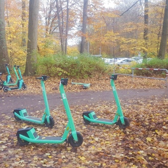 Ein Dutzend quietschgrüne E-Roller und ein Leihfahrrad sind am Rande eines Waldwegs geparkt.