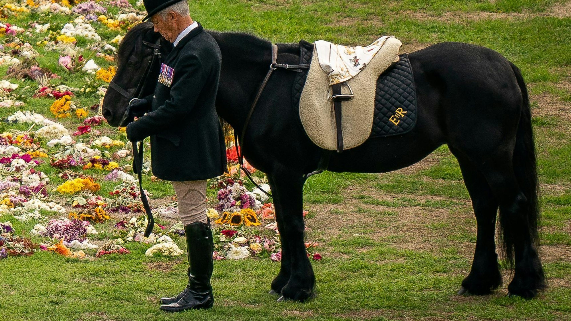 Emma, das Lieblingspferd der Queen, steht bei der feierlichen Prozession mit dem Sarg von Königin Elizabeth II. auf dem Gelände von Schloss Windsor neben einem Blumenmeer.