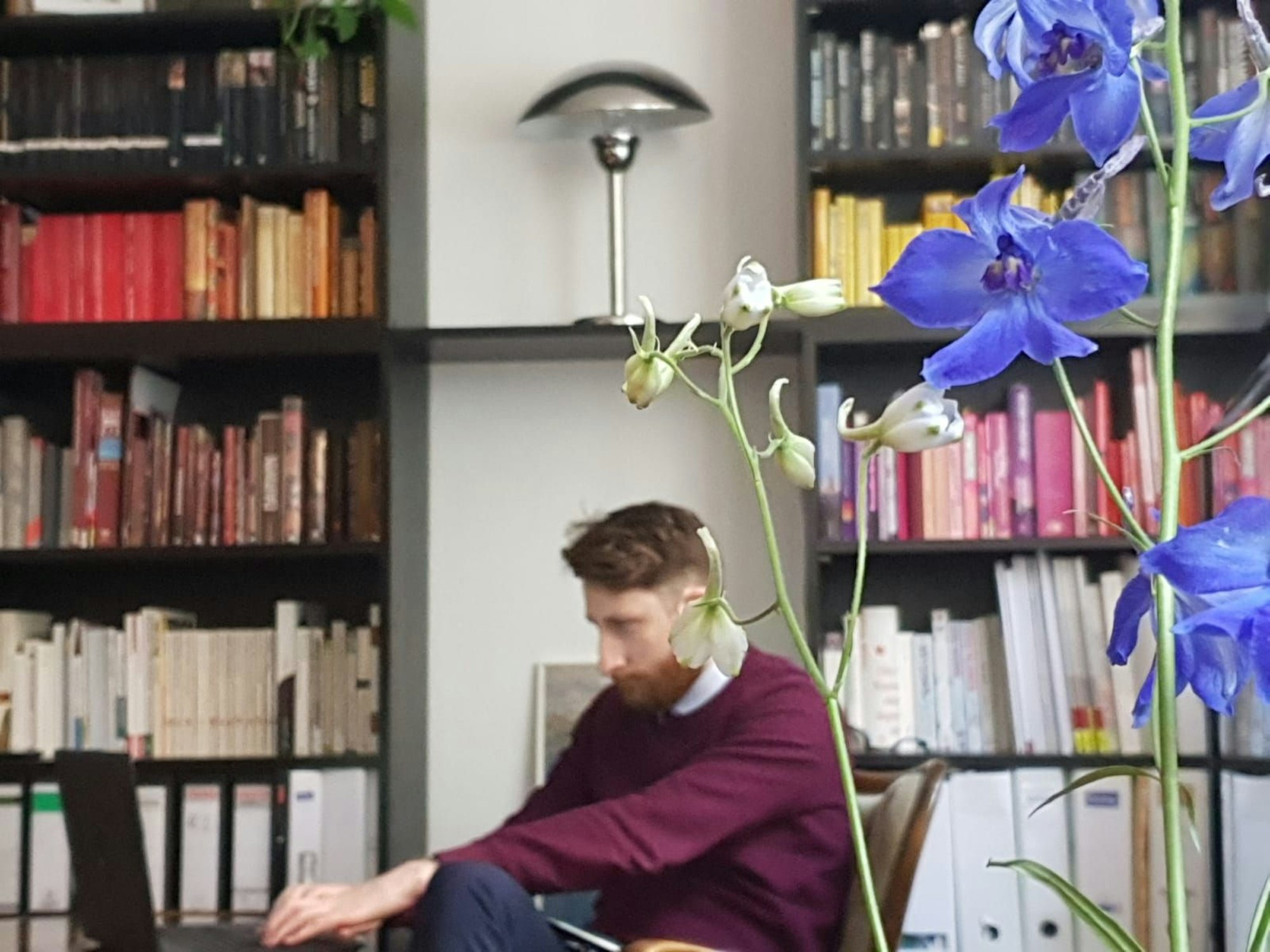 James Hargreaves sitzt in einem roten Pullover am Laptop vor einem Regal mit Büchern.