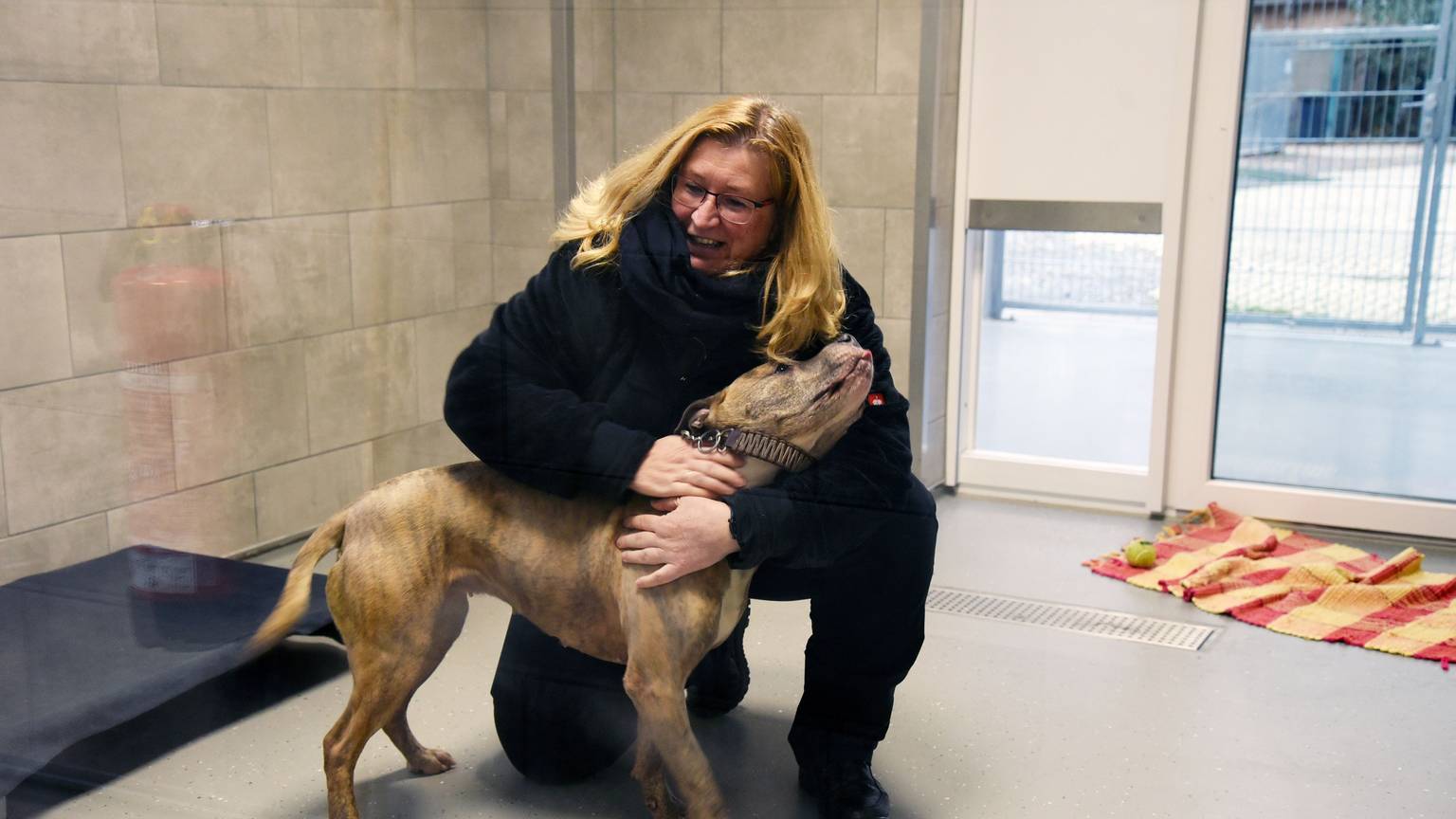 Blick in den neuen Zwingerbereich des Tierheims, in dem eine Frau mit einem Hund schmust.